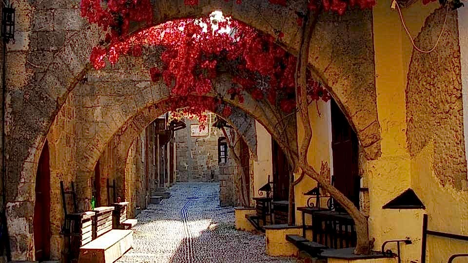 255 Rodos 